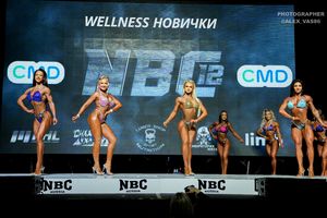 WELLNESS НОВИЧКИ